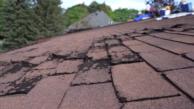 Best Storm Damage Roof Repair  in Interlaken, CA
