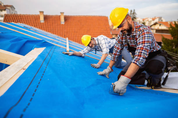 Best Cold Roofs  in Interlaken, CA